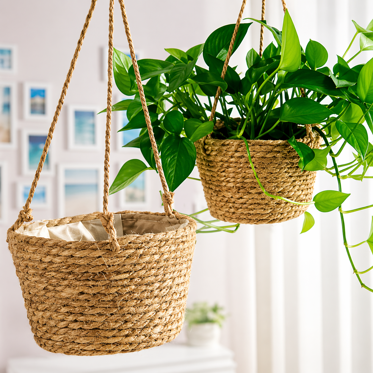 Hanging Basket Planter Set of 3